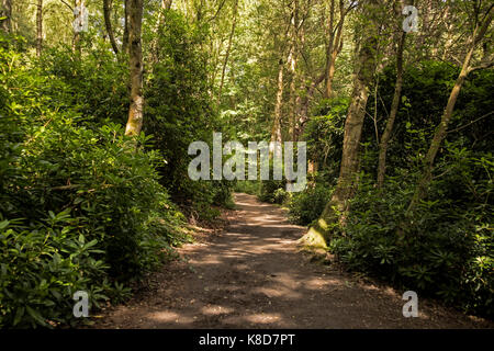 Die Pathways Bingley St Ives Estate, an Harden, Bingley, Nr Bradford, Yorkshire, Großbritannien Stockfoto