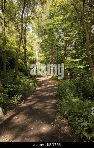 Die Pathways Bingley St Ives Estate, an Harden, Bingley, Nr Bradford, Yorkshire, Großbritannien Stockfoto