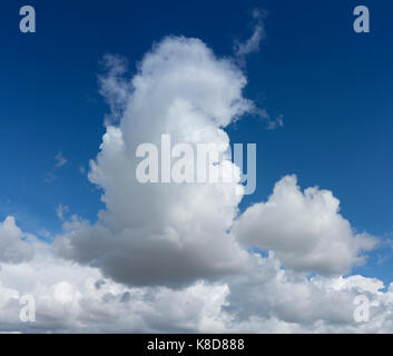 Flauschigen weißen Cumulus cloud Formationen vor blauem Himmel Stockfoto