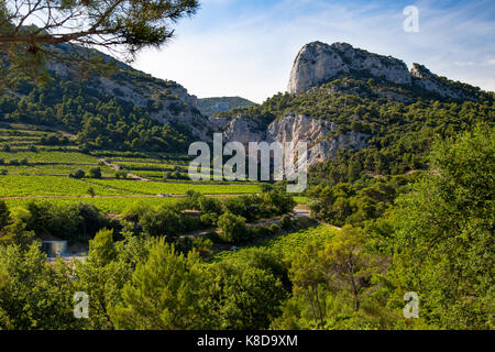 Weinberge und Berge der Dentelles de Montmirail in Gigondas, Provence, Frankreich Stockfoto