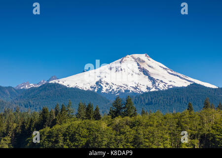 Mount Baker in Snoqualmie National Forest im Nordwesten von Washington State Stockfoto