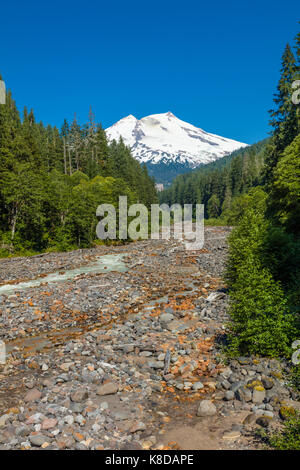 Boulder Creek und Mount Baker in Snoqualmie National Forest im Nordwesten von Washington State Stockfoto