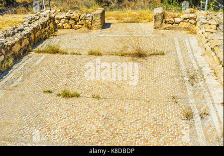 EL Djem, TUNESIEN - September 1, 2015: Das Open Air Museum mit gut erhaltenen antiken römischen Mosaiken, am 1. September in El Djem. Stockfoto