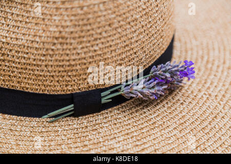 Twig von frischem Lila duftenden Lavendel in schwarzes Band auf Korb Stroh flaxen Hut gesteckt Stockfoto