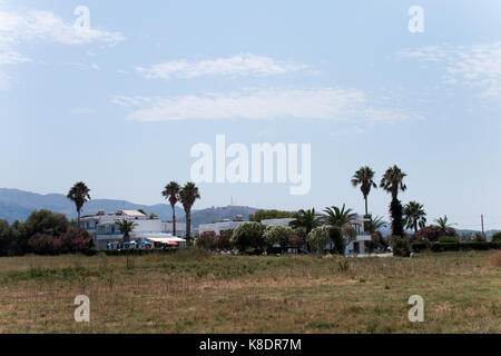Küstenebene mit Dattelpalmen und Weißen Häusern – Seaside Village auf Kos Island Stockfoto