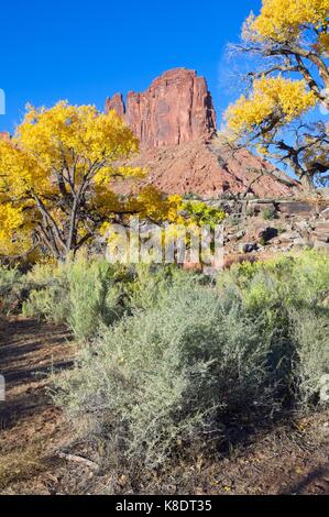 Hügel namens 'Jack Bridger" in der Morgendämmerung in Indian Creek, in der Nähe von Canyonlands, Utah, USA Stockfoto