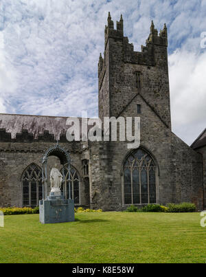 Irland, Kilkenny, Kloster Black Abby, Schwarze Abtei, Irland, Kloster Black Abby, Schwarze Abtei Stockfoto