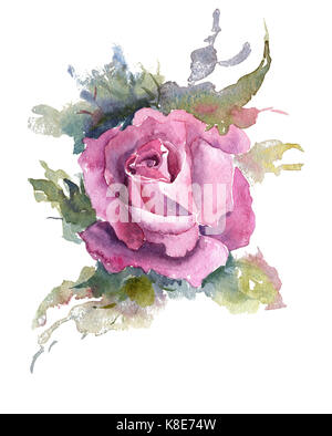 Briar Rose Blumen handgefertigte Aquarell Muster sanfte Stockfoto