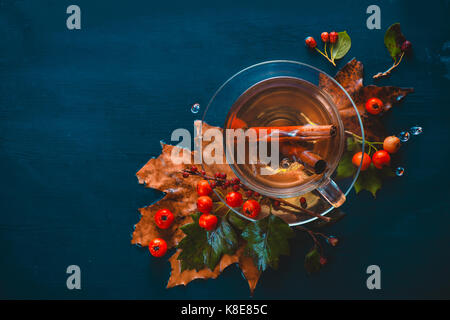 Dunkle Herbst noch Leben mit Tasse Tee, Blätter, Beeren und Zimt auf einem nassen Hintergrund. Tee Schale von oben. Stockfoto