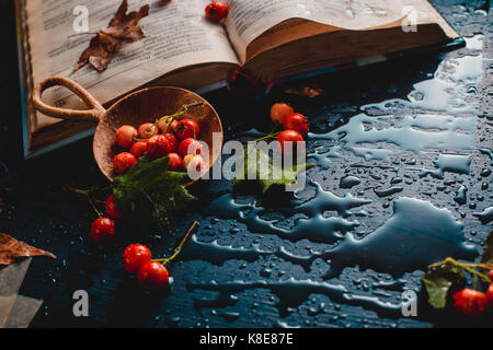 Dunkle Herbst noch Leben mit offenem Buch, Laub, roten Beeren und Regen fällt auf einem nassen Hintergrund Stockfoto