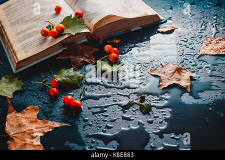 Dunkle Herbst noch Leben mit offenem Buch, Laub, roten Beeren und Regen fällt auf einem nassen Hintergrund Stockfoto