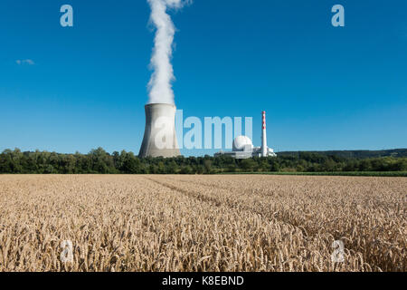 Getreidefeld im Schweizer Kernkraftwerk Leibstadt am Rhein, Dogern, Baden-Württemberg, Deutschland Stockfoto