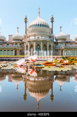 Seerosen im Teich vor der Royal Pavilion Palace, Spiegelung, Brighton, East Sussex, England, Großbritannien Stockfoto