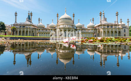 Seerosen im Teich vor der Royal Pavilion Palace, Spiegelung, Brighton, East Sussex, England, Großbritannien Stockfoto