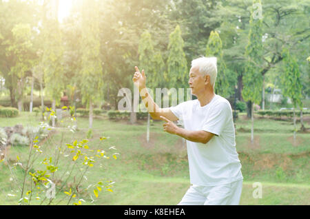 Portrait von gesunde Fitness graue Haare Asiatischen alter Mann Üben von Tai Chi bei outdoor Park am Morgen. Stockfoto