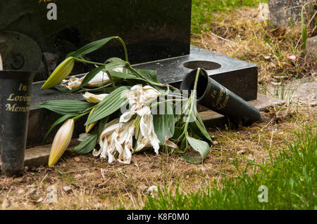 Macclesfield Cemetery, Cheshire, UK, England Stockfoto