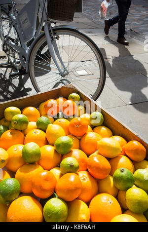 Eine Box mit Orangen, Zitronen und Limetten in einer Londoner Straße. Stockfoto