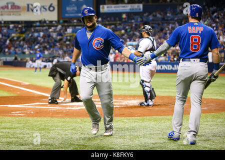 St. Petersburg, Florida, USA. 19 Sep, 2017. Wird VRAGOVIC | Zeiten. Chicago Cubs linken Feldspieler Kyle Schwarber (12) High Fives Mittelfeldspieler Ian Happ (8) Nach seinem Solo home run im zweiten Inning des Spiels zwischen den Chicago Cubs und die Tampa Bay Rays am Tropicana Feld in St. Petersburg, Fla. am Dienstag, Sept. 19, 2017. Kreditkarten: werden Vragovic/Tampa Bay Zeiten/ZUMA Draht/Alamy leben Nachrichten Stockfoto