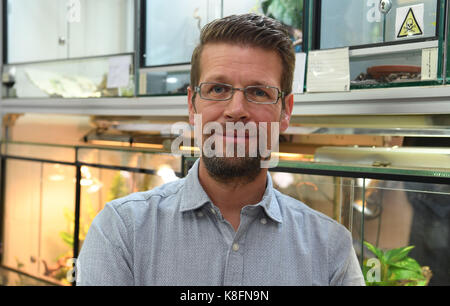 Bremerhaven, Deutschland. 12 Sep, 2017. Lutz Fischer, Leiter der Aquaristik und Terraristics können im Klimahaus in Bremerhaven, Deutschland, 12. September 2017 gesehen werden. Wenn die Scorpions & Co. sind im Gepäck von homecoming Urlauber entdeckte das Klimahaus in Bremerhaven bietet eine neue Heimat, die Zusammenarbeit mit dem Zollamt. Quelle: Carmen Jaspersen/dpa/Alamy leben Nachrichten Stockfoto