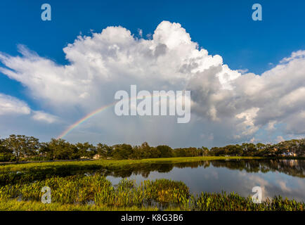 Rainbow im blauen Himmel mit großen weißen Sturmwolken über Venedig Florida Stockfoto