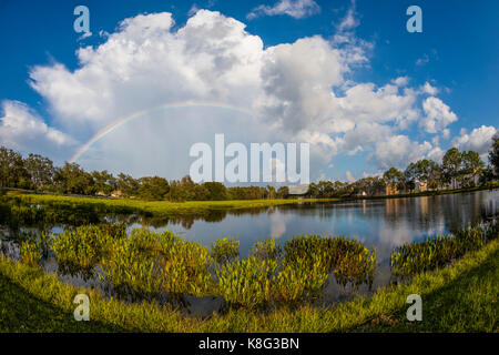 Rainbow im blauen Himmel mit großen weißen Sturmwolken über Venedig Florida Stockfoto