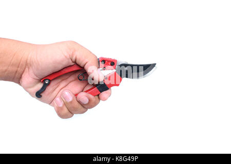 Hand mit einer Kneifzange von Baum auf isolierte Stockfoto