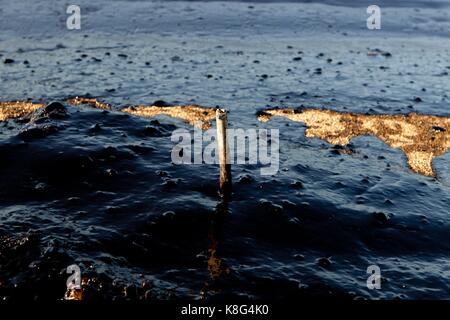 Griechische Beamten gehandelt Vorwürfe Mittwoch nach einer Ölpest aus einem versunkenen Tanker auf andere Teile des Saronischen Golf in Athen trieben. Der 45-jährige Stockfoto