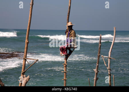 Stelze Fischer ahangama Südprovinz Sri Lanka Stockfoto