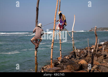 Stelze Fischer ahangama Südprovinz Sri Lanka Stockfoto