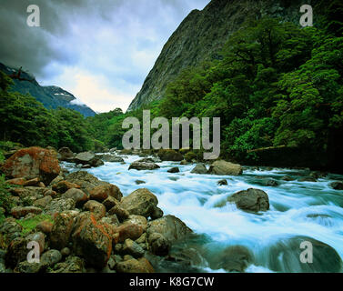 Neuseeland. Milford Sound. Schnell fließenden Bach. Stockfoto