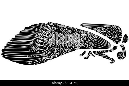 Schwarz und wite Motte mit ethnischen floralen Ornamenten für Erwachsene Malbuch. Zentagle Muster. Vektor doodle Abbildung. Nacht - fliegen Motten. Stock Vektor