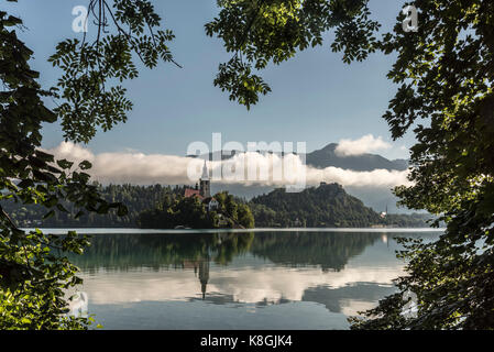 Blick auf die Kirche am Bleder Insel, See Bled, Slowenien Stockfoto