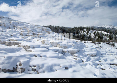 Mammoth Hot Springs unter Schnee, Yellowstone National Park, Wyoming, USA Stockfoto