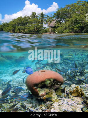 Oberhalb und unterhalb der Meeresoberfläche tropischen Küste mit einer Hütte über Wasser und Koralle mit einem Schwarm von Fischen unter Wasser, Karibik, Mittelamerika, Panama Stockfoto