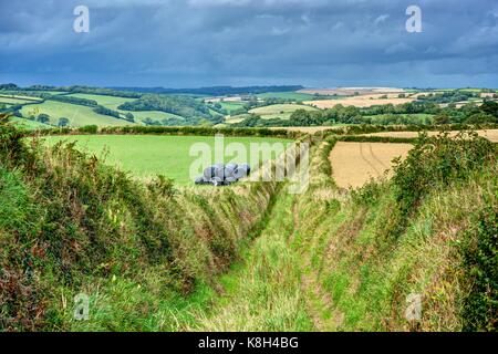 Landschaft von Cornwall patchwork Ackerland im Sommer. Das Foto ist von Lanteglos Autobahn über South East Cornwall, eine abgesicherte Green Lane. Stockfoto