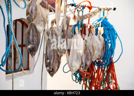 Die Fische werden in der Luft getrocknet - Stockfisch Stockfoto