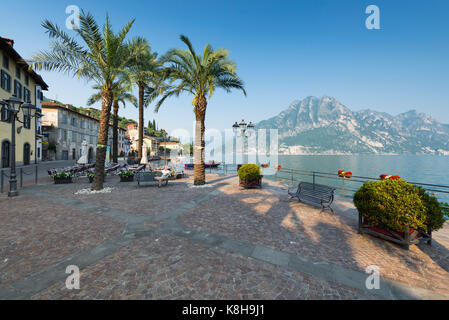 Mann sitzt auf der Bank unter Palmen in der Abendsonne auf der Promenade von Riva di Solto am Iseosee, Lombardei, Italien Stockfoto