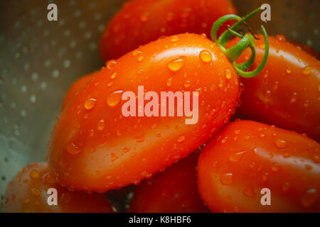 Roma Tomaten gewaschen in Metall Sieb Stockfoto