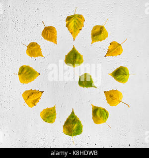 Uhr mit bunten Herbst birke Blätter auf dem nassen Glas gestapelt. Vier Uhr. Stockfoto