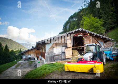 Ziegenhof Stockfoto