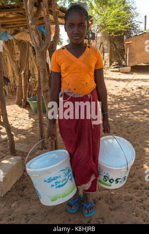 Peul Mädchen mit Eimer Milch. Senegal. Stockfoto