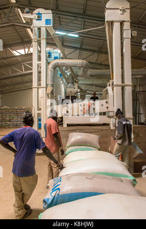 Reis Verarbeitung und Verpackung Fabrik. senegal. Stockfoto