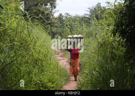 Frauen, die Platte mit 888 auf dem Kopf. Togo. Stockfoto