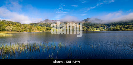 Hurdles in die Trossachs im Herbst Stockfoto