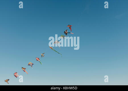 Low Angle View von Drachen gegen den klaren Himmel fliegen Stockfoto
