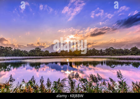 Eine atemberaubend schöne Golden Sunset auf einem Teich in der Nähe der Chesapeake Bay in Maryland Stockfoto