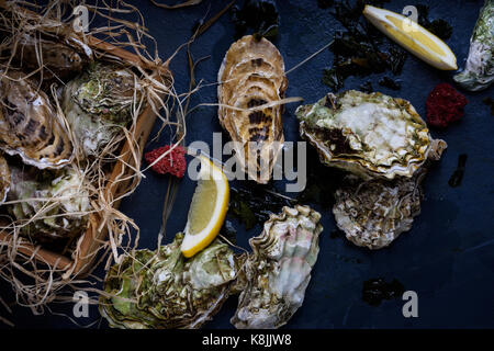 Austern in einem hölzernen Kasten. Meeresfrüchte produzieren auf blauem Hintergrund. oben betrachten. Stockfoto