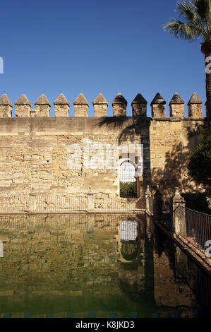 Die Wand und die Palme und ihre Spiegelung in den Brunnen des Alcazar-Gartens in Cordoba, Spanien Stockfoto