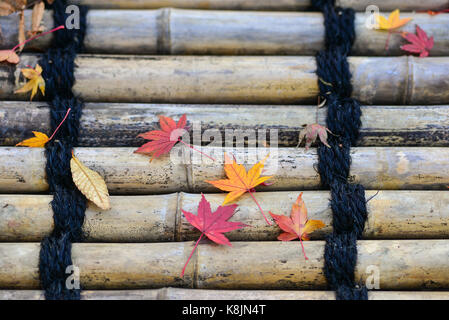 Herbst Blätter auf dem Bambus Tisch im Japanischen Garten. Stockfoto