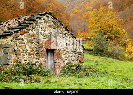 Hirte Haus in herbstliche Landschaft in Asturien. Spanien. Stockfoto